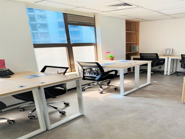 福建臻旺小猪酒推荐